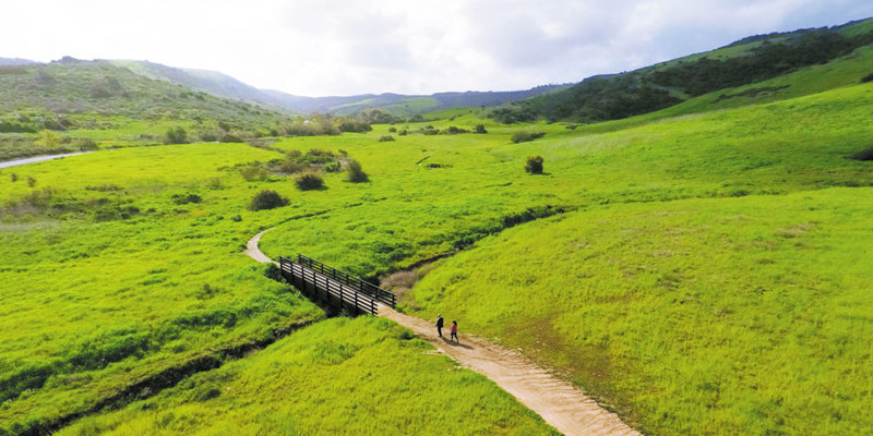 30e6f55a8628c719d84aecb408b2ad90